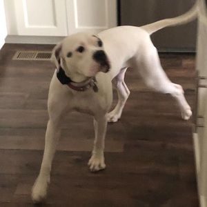 Meet your Posher, Ryan